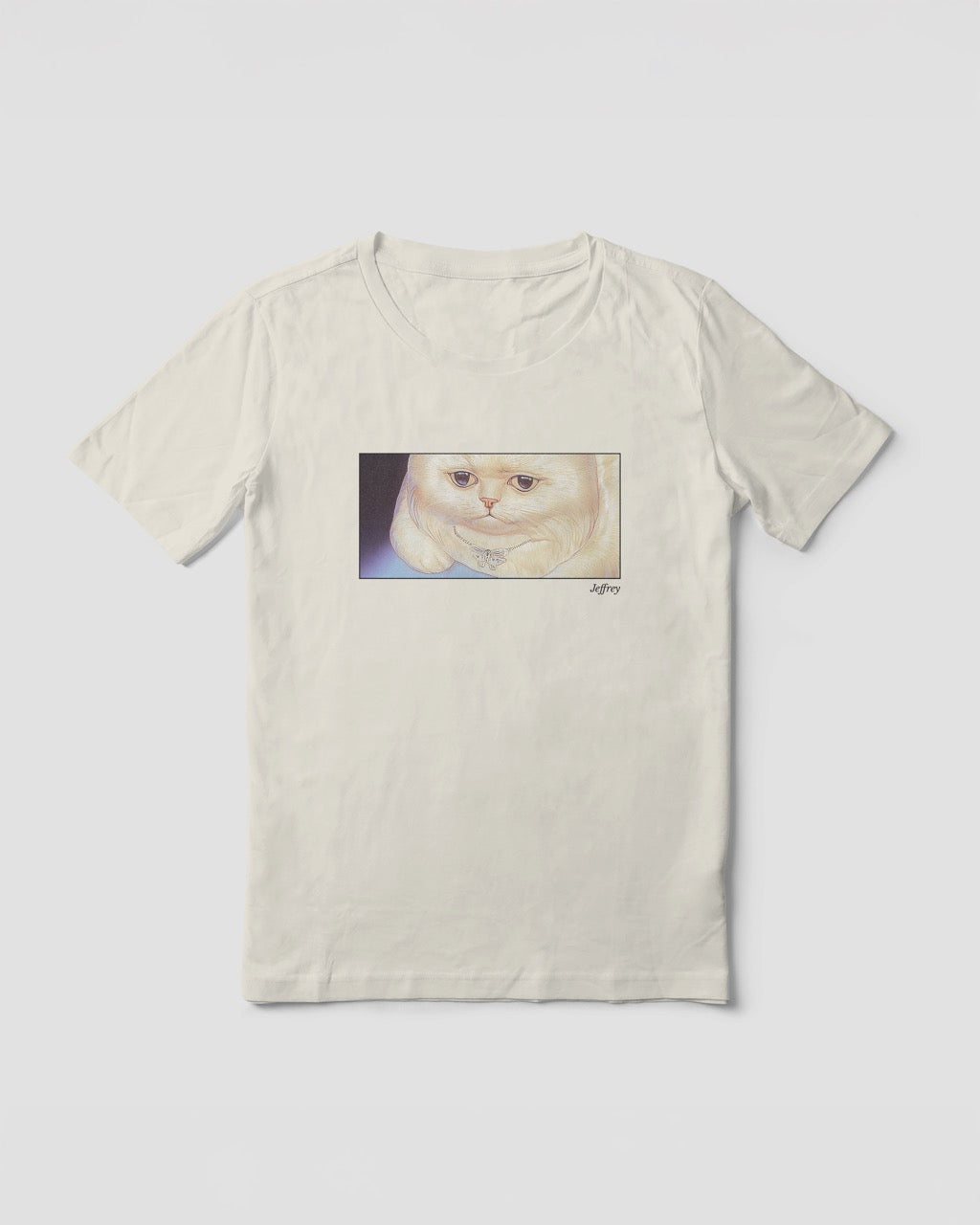 Women's off-white natural organic cotton Geoff & Jeffrey t-shirt with a framed graphic print of a funny fat cat (Jeffrey) looking worried. With his name 'Jeffrey' subtly printed in Libre Baskerville below the image. The t-shirt has a cute and dreamy aesthetic.