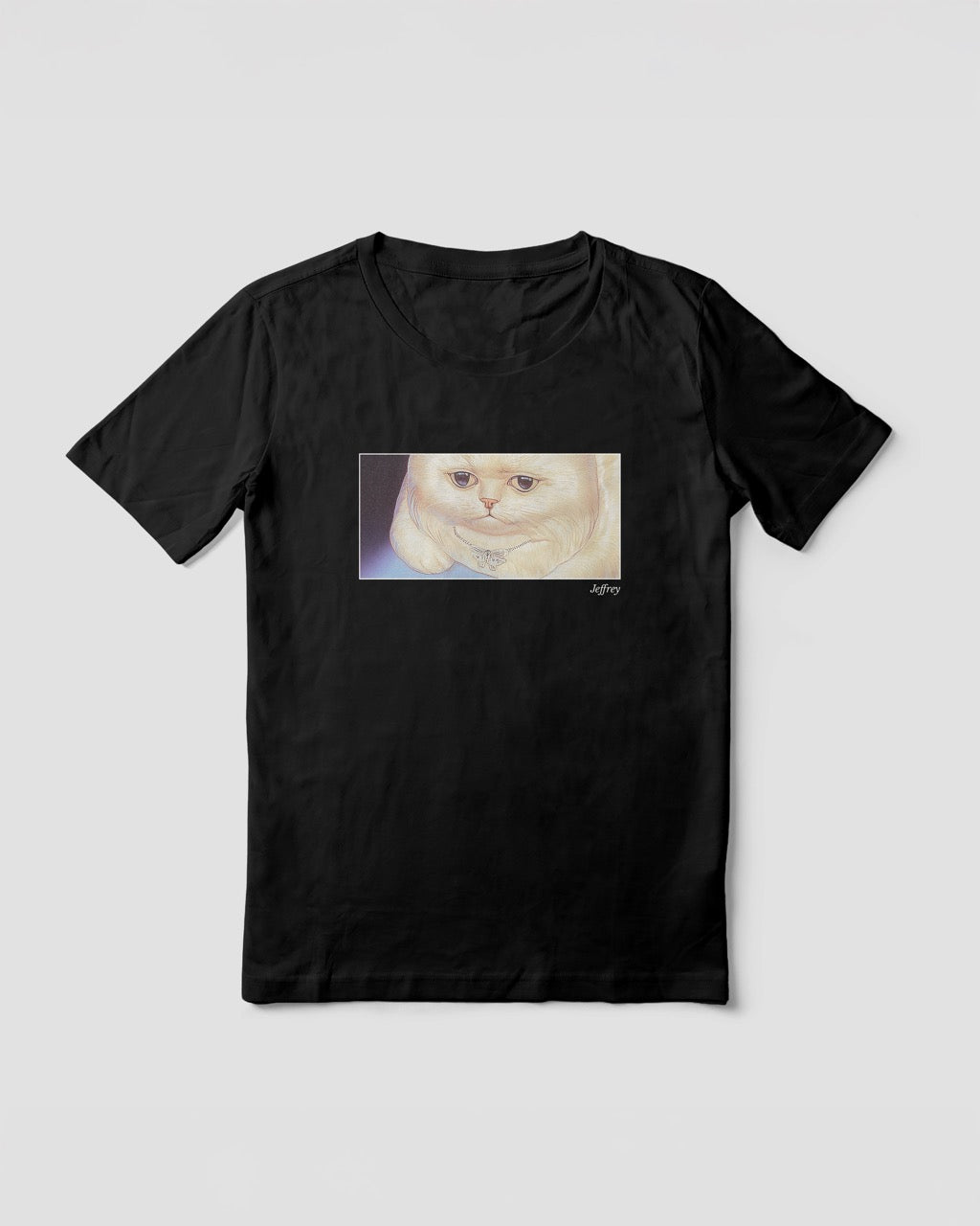 Women's black organic cotton Geoff & Jeffrey t-shirt with a framed graphic print of a funny fat cat (Jeffrey) looking worried. With his name 'Jeffrey' subtly printed in Libre Baskerville below the image. The t-shirt has a cute and dreamy aesthetic.
