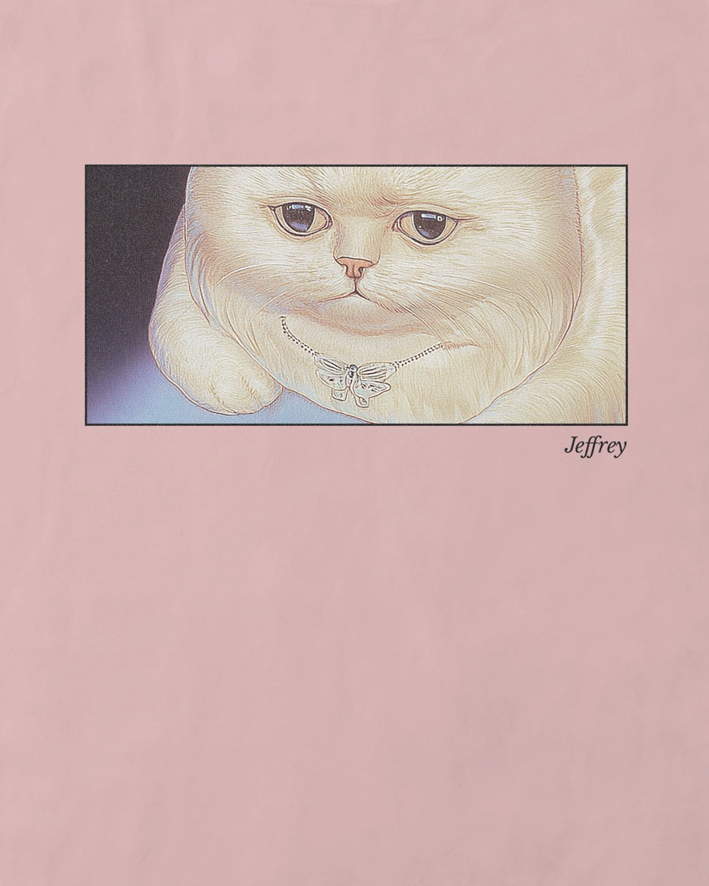 Close up of a women's soft pink organic cotton Geoff & Jeffrey t-shirt with a framed graphic print of a funny fat cat (Jeffrey) looking worried. With his name 'Jeffrey' subtly printed in Libre Baskerville below the image. The t-shirt has a cute and dreamy aesthetic.
