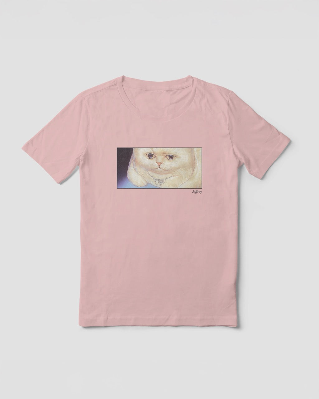 Women's soft pink organic cotton Geoff & Jeffrey t-shirt with a framed graphic print of a funny fat cat (Jeffrey) looking worried. With his name 'Jeffrey' subtly printed in Libre Baskerville below the image. The t-shirt has a cute and dreamy aesthetic.