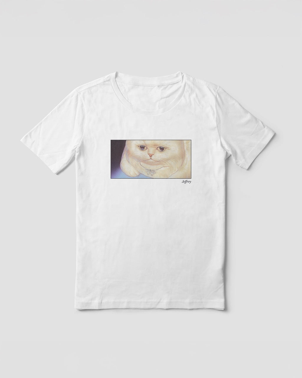 Women's white organic cotton Geoff & Jeffrey t-shirt with a framed graphic print of a funny fat cat (Jeffrey) looking worried. With his name 'Jeffrey' subtly printed in Libre Baskerville below the image. The t-shirt has a cute and dreamy aesthetic.