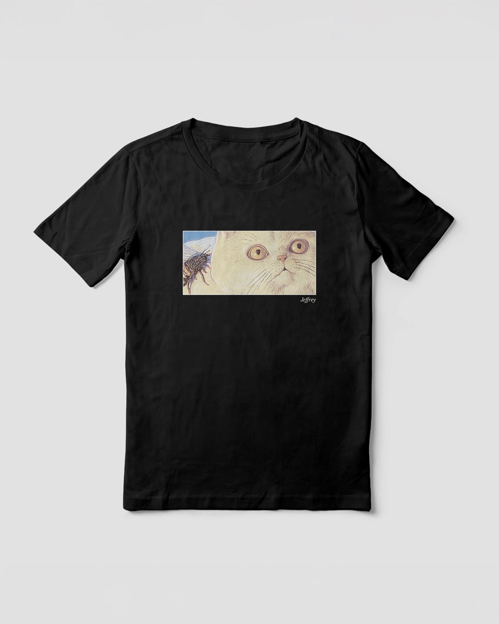 Women's black organic cotton Geoff & Jeffrey t-shirt with a framed graphic print of a funny fat cat (Jeffrey) looking concerned with a wasp on his back. With his name 'Jeffrey' subtly printed in Libre Baskerville below the image. The t-shirt has a cute aesthetic