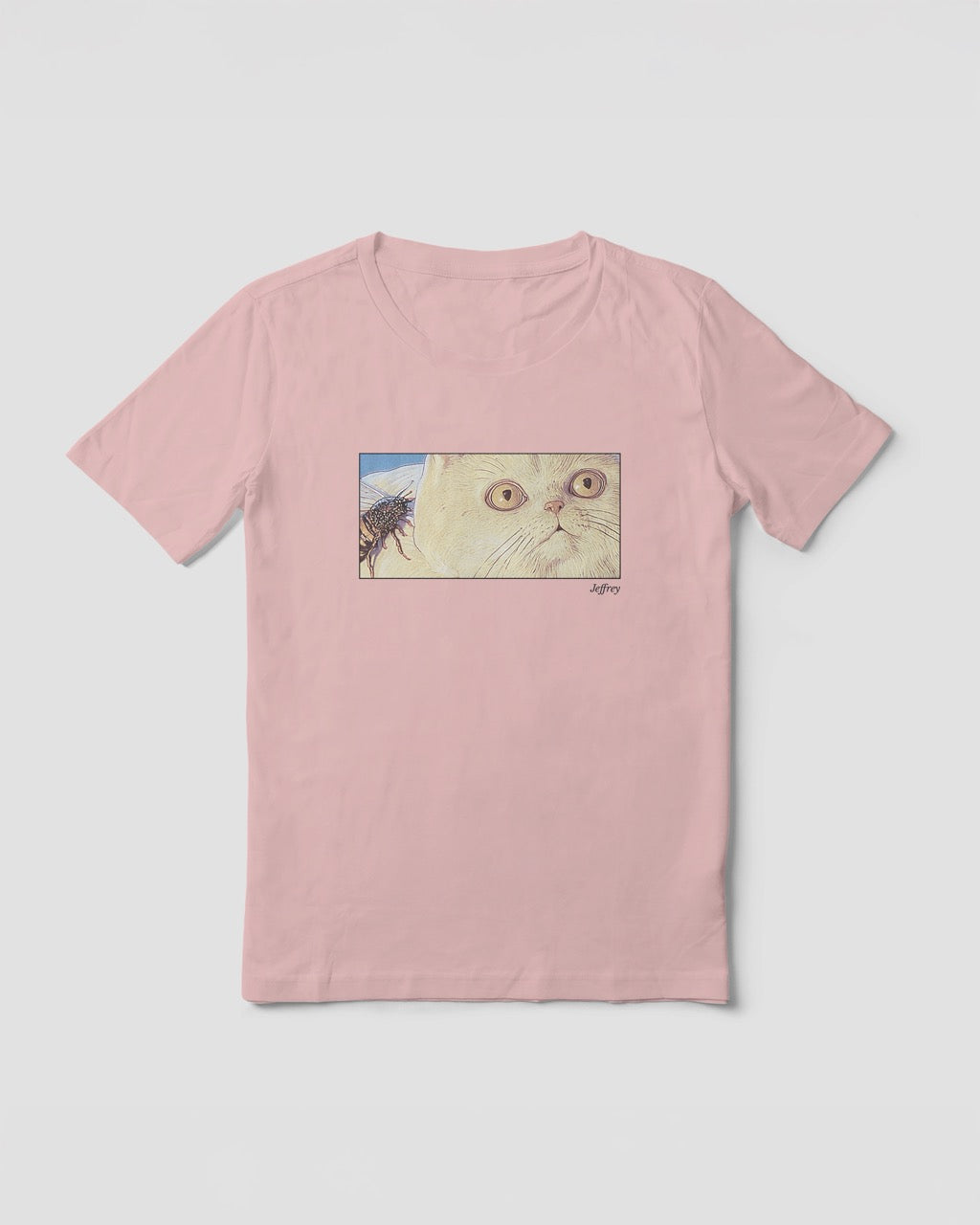 Women's pink organic cotton Geoff & Jeffrey t-shirt with a framed graphic print of a funny fat cat (Jeffrey) looking concerned with a wasp on his back. With his name 'Jeffrey' subtly printed in Libre Baskerville below the image. The t-shirt has a cute aesthetic