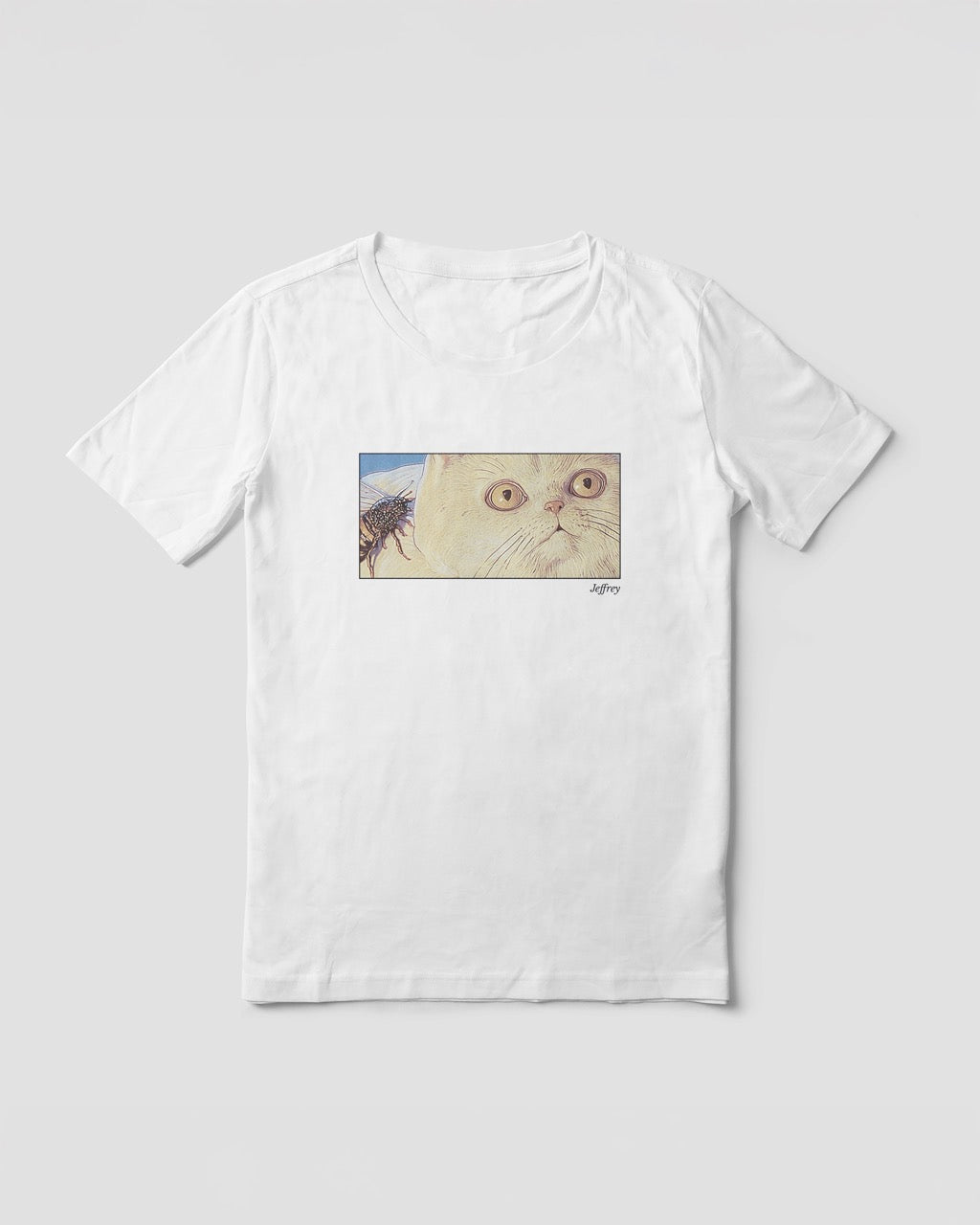 Women's white organic cotton Geoff & Jeffrey t-shirt with a framed graphic print of a funny fat cat (Jeffrey) looking concerned with a wasp on his back. With his name 'Jeffrey' subtly printed in Libre Baskerville below the image. The t-shirt has a cute aesthetic